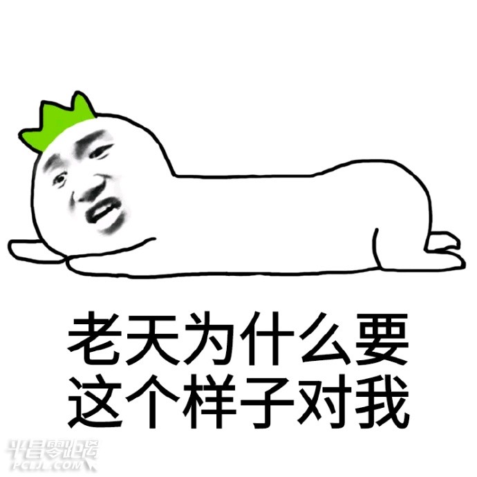 6927e7a5jw1f54z2656t9j20j60j6q4a.jpg