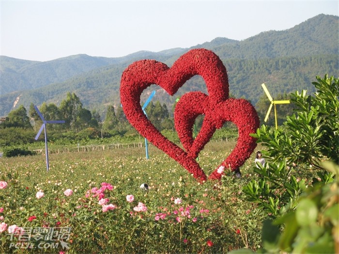 u=326006006,2653617142&amp;fm=21&amp;gp=0.jpg