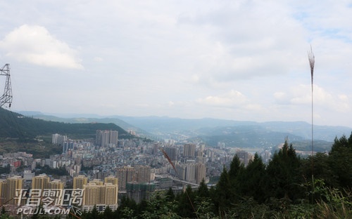 IMG_5934_.jpg