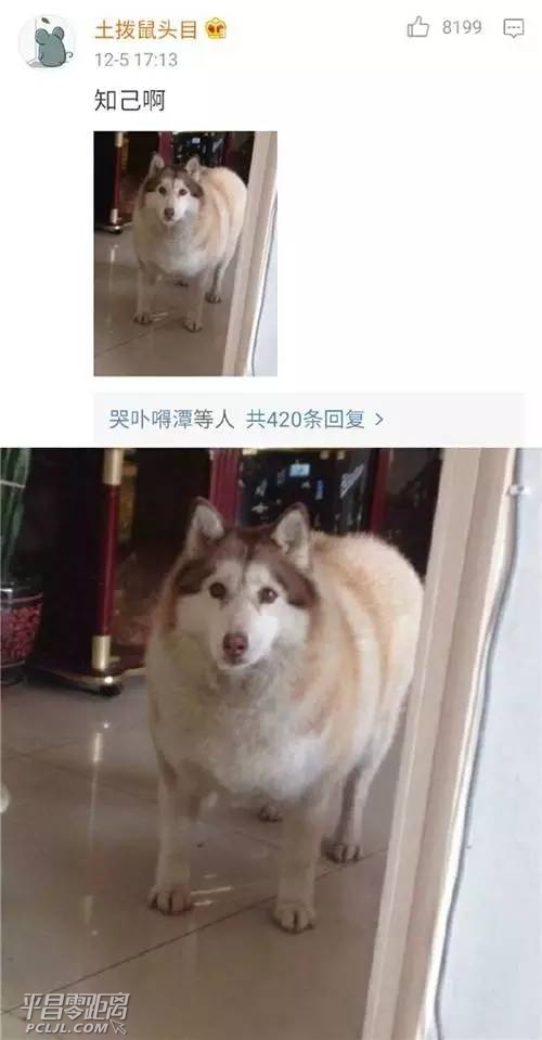 0.jpg