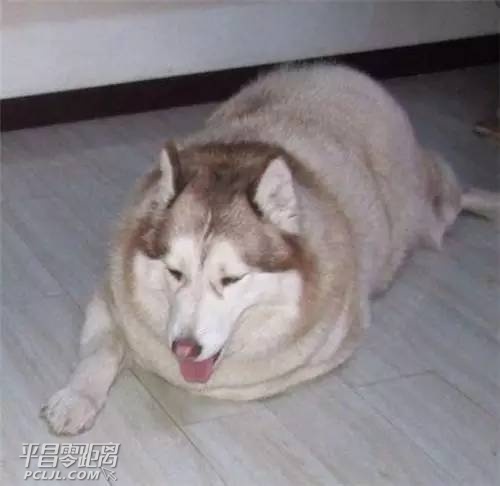 01.jpg
