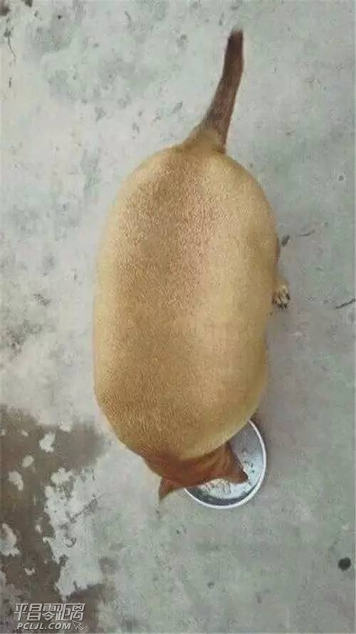 16.jpg