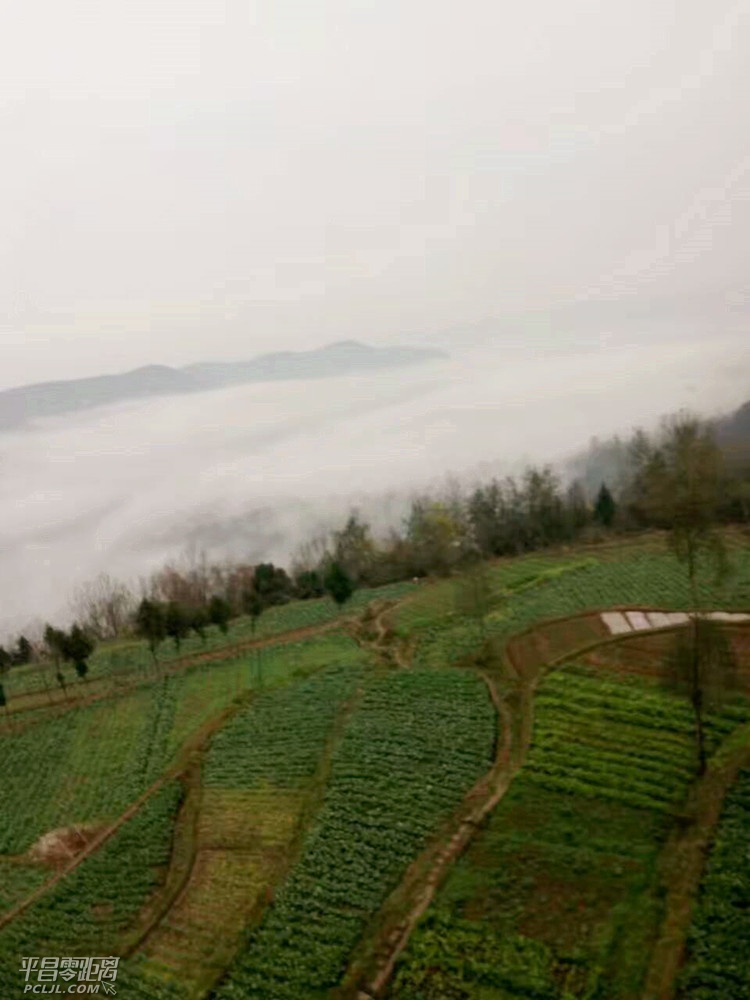 QQͼƬ20161223103813.jpg