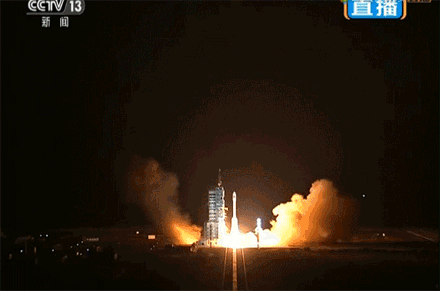 image.gif
