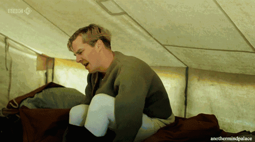 image8.gif