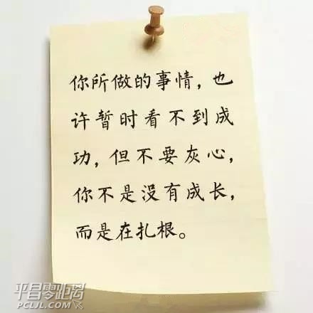 faec915.jpg