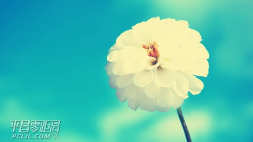 20120611174127_hzFtA.jpg