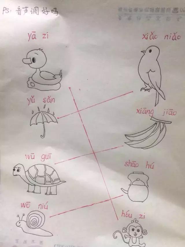 1533000660882e8c7406.jpg