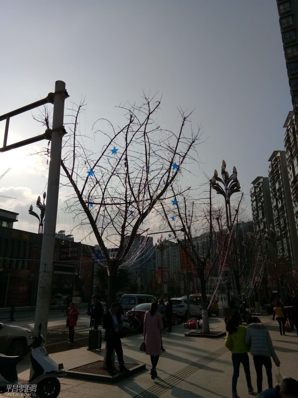 61636.jpg