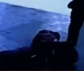 0 (2).gif