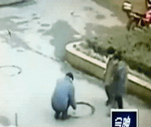 0 (3).gif