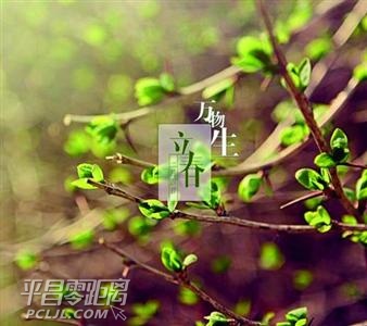 l_75941_ZJQ0820150318S_9.jpg