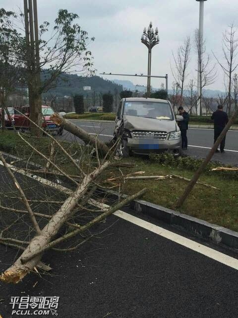 XMtziKyKbptA.jpg