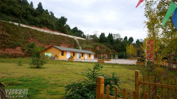 DSC03774.JPG