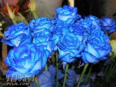 0050ba6b2e4112a4eafb19.jpg