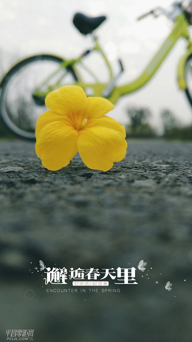 18ae00054e9718a97773.jpg