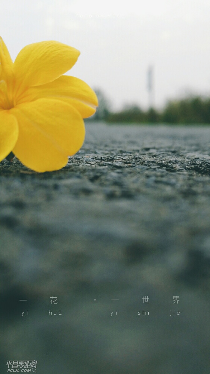 18b20007606edf6f00df.jpg