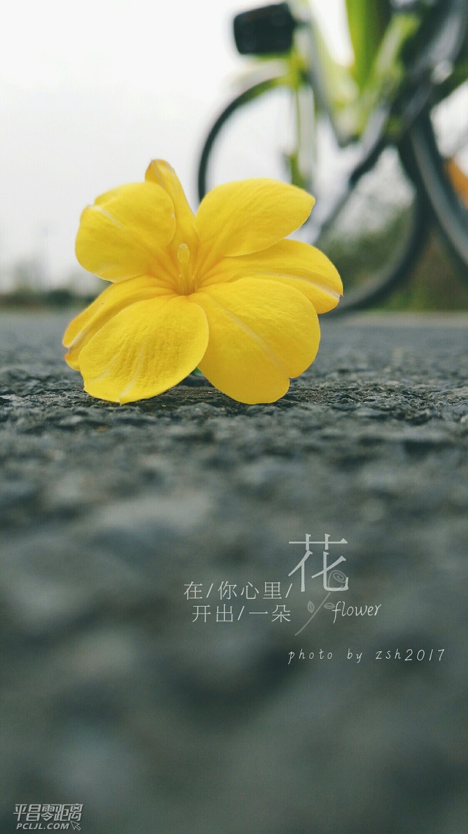 18b100000834d058a4de.jpg