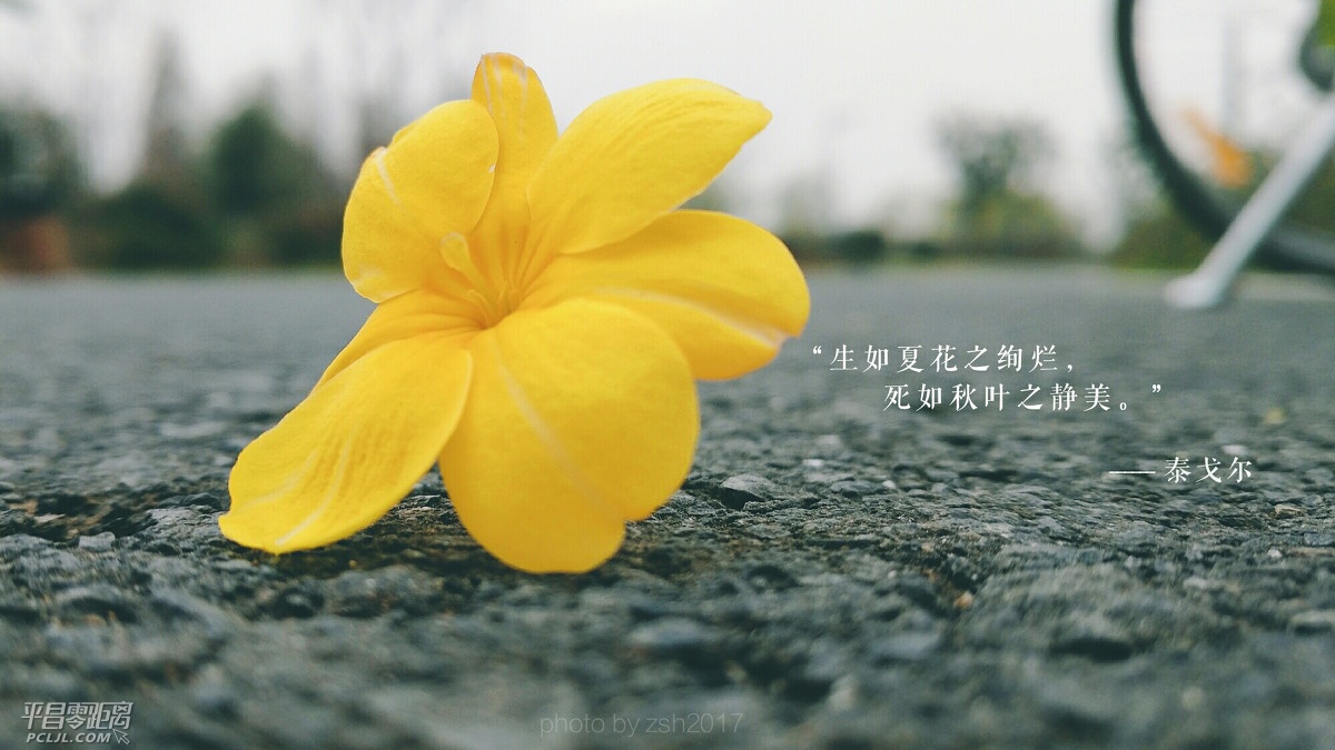 18b100000835ade029d2.jpg