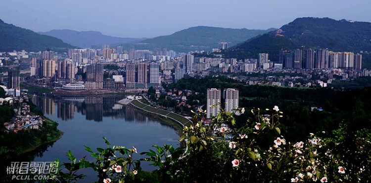 095049qt9krkvo9l2pbaze.jpg