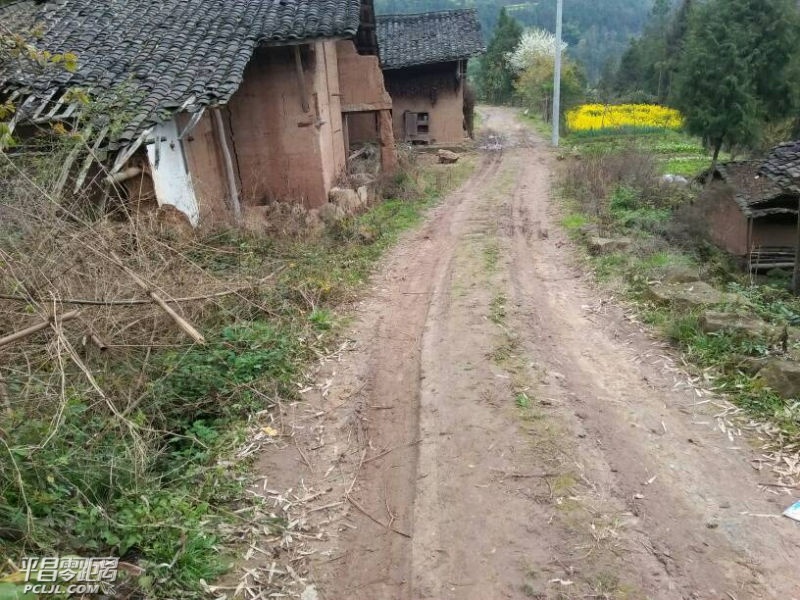 mmexport1490712109992.jpeg