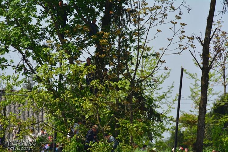 DSC_0414.jpg