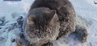 222048nu5q9i38p3w5u8w4.gif