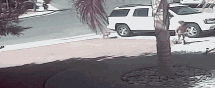 222050kutq7rw8q4z80f0z.gif