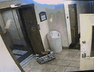 222056iiiriztemaannasy.gif