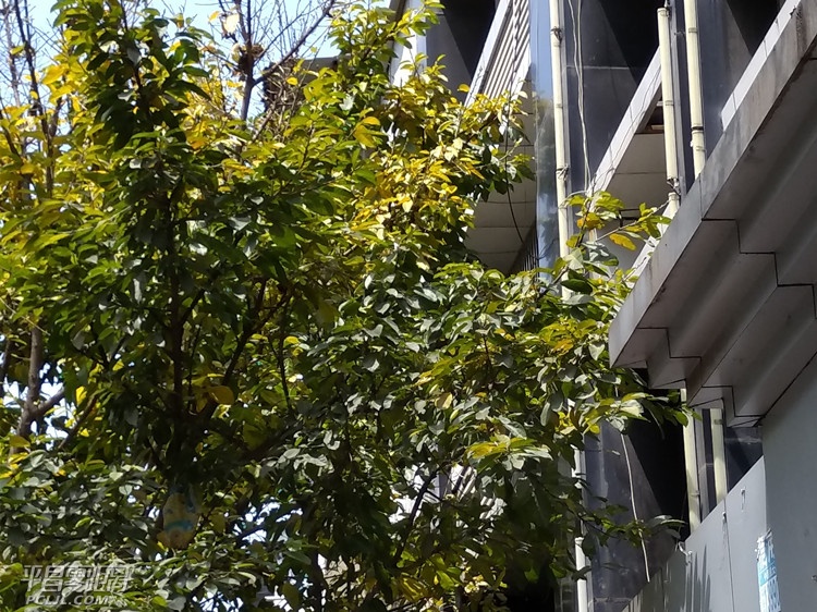 ΢ͼƬ_20170508143449.jpg