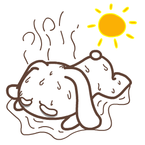 154.gif