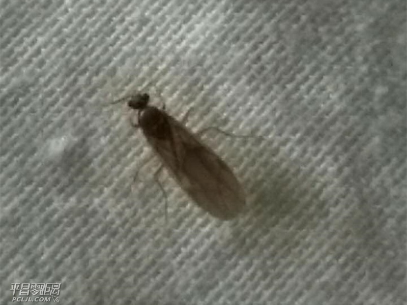 ΢ͼƬ_20170522093527.jpg
