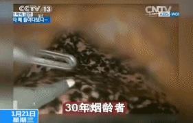 6.gif