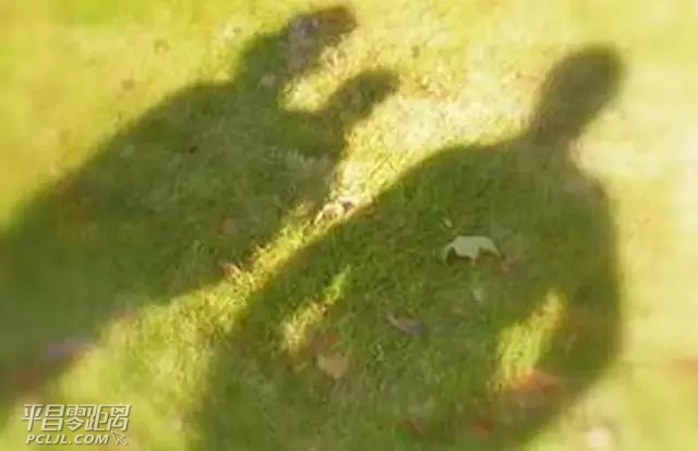 ΢ͼƬ_20170618155137.jpg