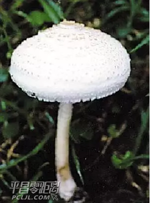 10.png