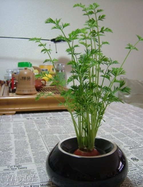 155040kp2dmiem9i3ec8q9.jpg