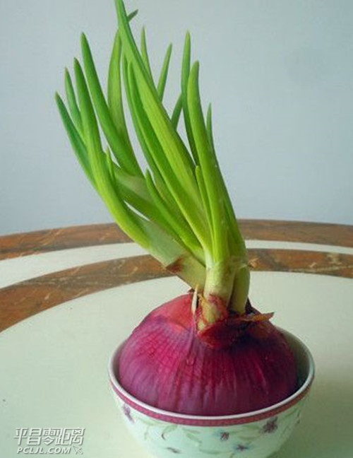 2014051217032029.jpg