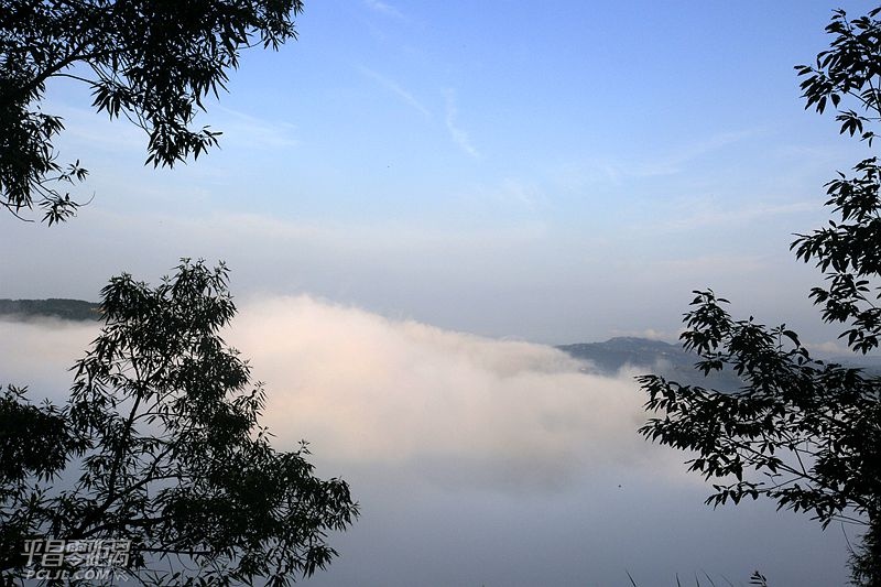 085637vwub98xihtbullau.jpg