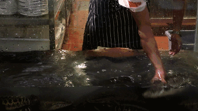 IMG_0386.GIF