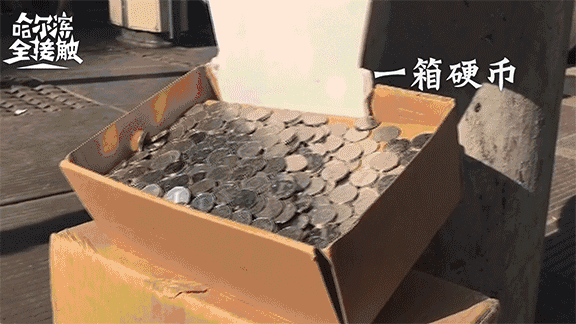 4.gif