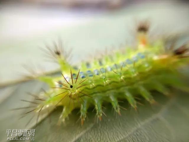 ΢ͼƬ_20170809150251.jpg
