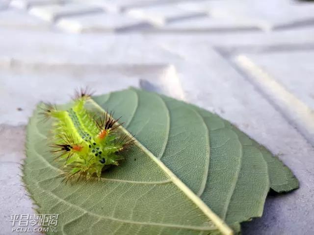 ΢ͼƬ_20170809150254.jpg