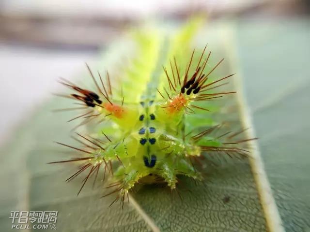 ΢ͼƬ_20170809150257.jpg