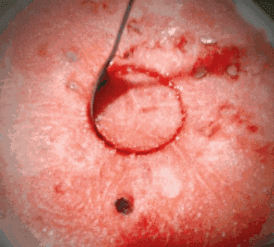 ΢ͼƬ_20170823143217.gif