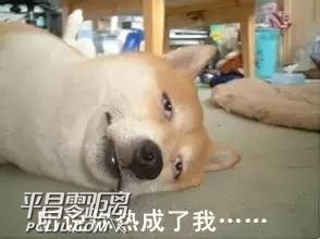 143755eyklgfksp0g8lgjk.jpg