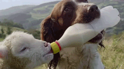 67dd74e0gw1fbpf0i1m7ug206y03wtuh.gif
