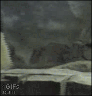 67dd74e0gw1fbpf0nmb00g205a05j000.gif