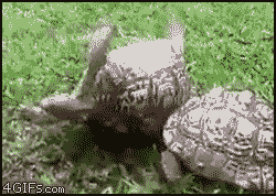 67dd74e0gw1fbpf1ae0eog206y04y7ia.gif