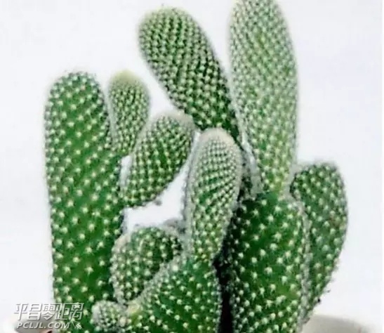 640.webp (14).jpg