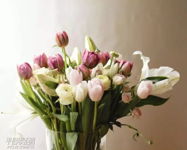640.webp (16).jpg